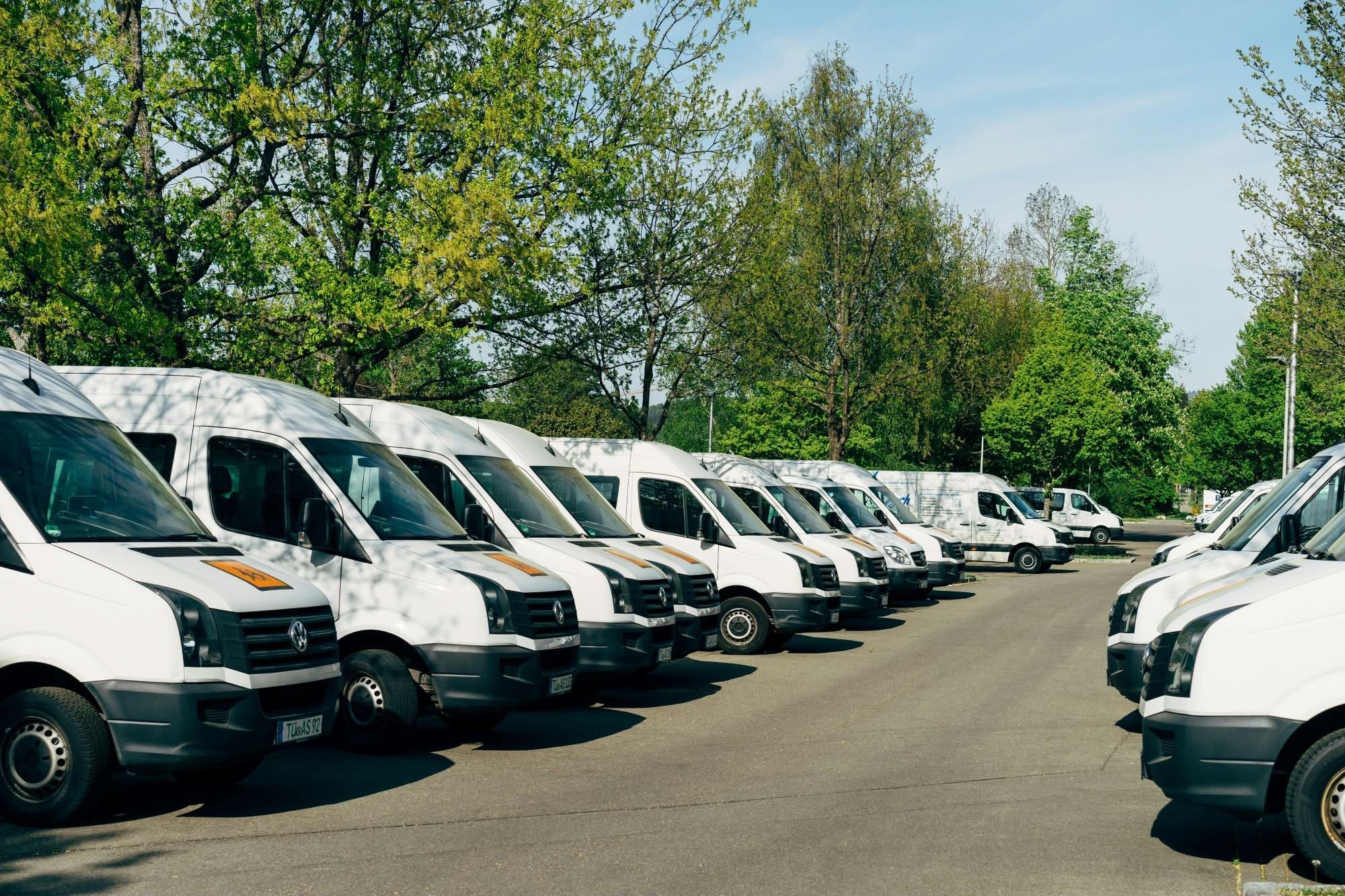 Vans lined up in an outdoor parking area